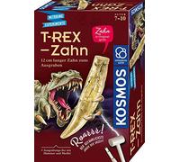 Kosmos 636173 T-Rex Tooth, Dino Tooth in Original Size for Digging, Complete Set with Hammer and Chisel, Experiment Box for Children from 7 Years and Dino Fans, Birthday Gift, Souvenir