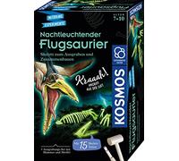 Kosmos Nachtleuchtender Flugsaurier: Mitbringexperimente
