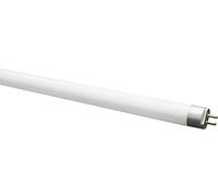 Kosnic Lamp Cfl T5 8W 288MM 4000K KFT08T5/840