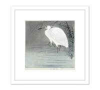 Koson Ohara Little Egret Bird Japan Woodcut 8X8 Inch Square Wooden Framed Wall Art Print Picture with Mount Artery8 White One Size