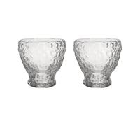 Kosta Boda Moss tumbler glass 33 cl 2-pack Clear