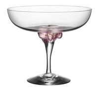 Kosta Boda - Sugar Dandy Champagne Coupe, Pink - Pink