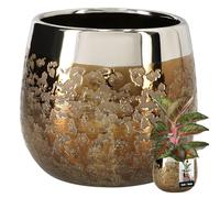 KOTARBAU® Ceramic Flower Pot Round Mirror Effect Diameter 10 cm Height 11 cm Pack of 1 Planter Flower Pot, gold, ⌀ 14 cm, 1 piece
