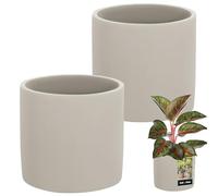 KOTARBAU® Flower Pot Ceramic Large Cylinder Ethnic 1 Piece Flower Planter Ceramic Flower Pot Concrete Look Small Planters Ceramic Pot Plants, gray, ⌀ 16 cm
