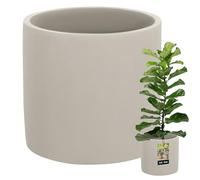 KOTARBAU® Flower Pot Ceramic Large Cylinder Ethnic Diameter 20 cm Height 20 cm 1 Piece Flower Planter Ceramic Flower Pot Concrete Look Small Planters Ceramic Pot Plants
