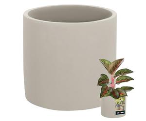 KOTARBAU® Flower Pot Ceramic Large Cylinder Grey 16 cm Diameter 15 cm Height 1.43 kg Indoor/Outdoor Mattes Concrete Look Planter