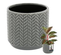 KOTARBAU® Flower Pot Grey Ceramic Round Diameter 12 cm Height 12.5 cm Glazed Ceramic 1 Piece Flower Planter Large Planter Ceramic Plant Pot Ceramic Plant Pot Ceramic Plant Pot Ceramic Plant Pot