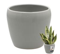 KOTARBAU® Flower Pot Grey Glazed Ceramic Flower Pots Indoor Flower Planter Plant Pot, gray, ⌀ 13,5 cm, 1 piece