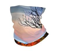 KOUUIP Blue Ridge Mountains print Headband Neck Gaiter Head Wrap Headwear Face Mask Magic Scarf Bandana for Men and Women