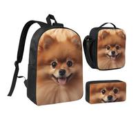 KOUUIP Pomeranians Pattern print Backpacks With Lunch Pack Pencil Case 3pcs, Lightweight Bookbag Unisex for Traveling