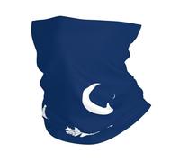 KOUUIP South Carolina Flag print Headband Neck Gaiter Head Wrap Headwear Face Mask Magic Scarf Bandana for Men and Women