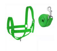 kowaku Cattle Rope Adjustable Animal Headgear Cow Halter Soft Dense-Weave Nylon Rust-Resistant Hardware Comfortable Fit Suitable for Farm Use Livestock, Green, Green, L300g