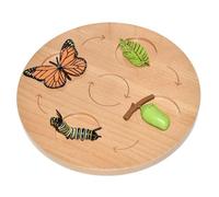kowaku Early Education Life Cycle Learning Toy | Hands-on, Interactive, Sequencing Board, for Homeschool, Playroom, Preschoolers, young children, Style C
