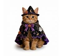kowaku Halloween Witch Cloak Cat Costume Cape Outfit Accessory With High Stand Collar And Drape Lightweight And Easy On Off Closure suitable for holiday, Purple Starry Sky Witch