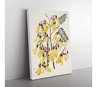 Kowhai Flowers By Sarah Featon Vintage Canvas Wall Art Print Ready to Hang, Framed Picture for Living Room Bedroom Home Office Décor, 60x40 cm (24x16 Inch)