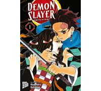 Koyoharu Gotouge Burkhard Demon Slayer 1 Kimetsu no yaiba (German Ve (Hardback)