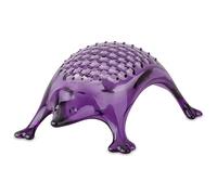 Koziol KASIMIR Cheese Grater, Parmesan Grater, Lemon Grater, Ginger Grater, Zester, Fine Grater Surface, Shatterproof Plastic, Dishwasher Safe, Kitchen, Home (Clear Lavender)