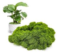 KPSRFG Fake Moss, Faux Moss for Indoor Planters, 150g Fake Moss for Indoor Plant Pots - Realistic Artificial Moss, Faux Moss Decor for Crafts, Easter, Home & Garden