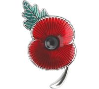 KQDRAVINE Red Poppy Pin Poppy Badge, Poppy Badges and Pins Poppy Brooches for Women UK Remembrance Pin Badges, Enamel with Green Leaf Alloy Remembrance Day (Silver)