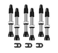 KQFCAZRE 3 Pairs of Valves with Dismantling Tool