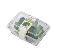 KQFCAZRE Industrial Miniature Food Box Dollhouse Accessory Toy Prop PVC Clear Container With Tiny Food Props For Crafting suitable for dollhouse kitchens, Broccoli