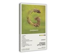 KQHSXYWSI Garbage Strange Little Birds Album Cover Canvas Poster Bedroom Decor Landscape Office Room Decor Gift 24x36inch(60x90cm)