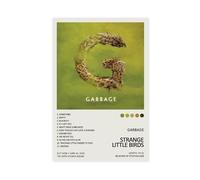 KQHSXYWSI Garbage Strange Little Birds Album Cover Canvas Poster Wall Art Decor Print Picture Paintings for Living Room Bedroom Decoration 16x24inch(40x60cm)