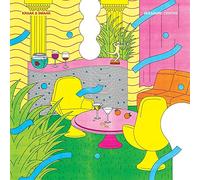 Kraak & Smaak - Pleasure Centre [VINYL]
