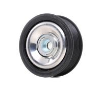 BTA E2R0006BTA Deflection/Guide Pulley, V-ribbed belt for ,DACIA,MERCEDES-BENZ,R