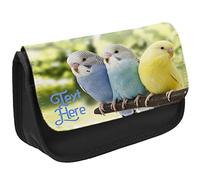 KRAFTYGIFTS Personalised Pencil Case Budgie Stationary Bag Adults Custom Pens Organiser Glasses Case Medication Carry British Birds ST730 (Black)