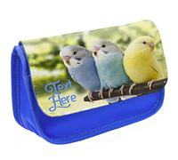 KRAFTYGIFTS Personalised Pencil Case Budgie Stationary Bag Adults Custom Pens Organiser Glasses Case Medication Carry British Birds ST730 (Blue)