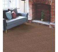 Vitrex Value Carpet Tile 500 x500mm - Brown