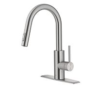 Kraus Kitchen Faucet (Chrome)