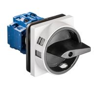 Kraus & Naimer KG10 2-Pole Main Switch 16A IP66 - 70009858