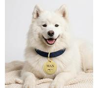 KreateSquare Personalised Dog ID Tag Engraved 25 mm, Stainless Steel Pet Name Tag for Dog & Cat, Custom Collar Tag with Name & Phone Number, Durable for Small Medium Large Pets