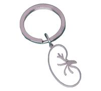 KREATIONS Kidney Keyring Stainless Steel Pendant Doctors Accessories, Ka1169s-silver, S