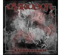Krebskolonie Re-Release (Boxset)