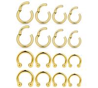 Kridzisw 20G 18G 16G 14G 12G 10G Hypoallergenic Nose Rings Hoops for Men Women 316L Surgical Steel Hinged Nose Rings for Nostril Septum Cartilage Helix Daith Tragus Rook Conch Lip Ear Lobe Piercing