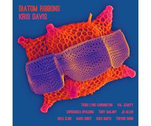 KRIS DAVIS - Diatom Ribbons