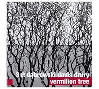 Kris Davis - Kris Davis / Tomasz Dąbrowski / Andrew Drury: Vermilion Tree