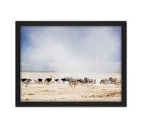 Krishnappa Dust Ostrich zebra Etosha Namibia Photo Artwork Framed Wall Art Print 18X24 Inch