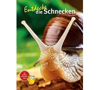 Kriton Kunz Entdecke die Schnecken (Entdecke - Die Reihe mit der Eule (Hardback)