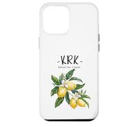 Krk Lemon Art Croatian Lover Croatia Adriatic Sea Case for iPhone 12 Pro Max