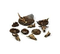 Kromlech - Conversion Parts Animal Skulls & Bones basing kit.