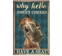 Krouterebs New Horse Why Hello Sweet Cheeks Have A Seat Metal Tin Sign for Home and Kitchen Bar Man Cave Cafe Garage Wall Decor 12x8 Inch