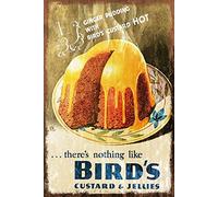 Krouterebs New Tin Sign Bird's Custard Pudding Dessert Metal Tin Sign Rustic Wall Decor Suitable for Home and Kitchen Bar Man Cave Cafe Garage Wall Decor Retro Vintage 12x8 Inch