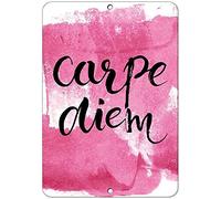 Krouterebs New Tin Sign Carpe Diem Metal Tin Sign Rustic Wall Decor Suitable for Home and Kitchen Bar Man Cave Cafe Garage Wall Decor Retro Vintage 12x8 Inch
