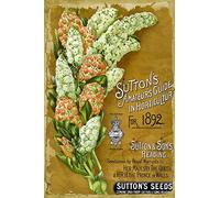 Krouterebs New Tin Sign Sutton Floral Seed Packet Metal Tin Sign Rustic Wall Decor Suitable for Home and Kitchen Bar Man Cave Cafe Garage Wall Decor Retro Vintage 12x8 Inch