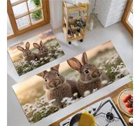KRSAZCM Spring Flowers Kitchen Mat Sets Non-slip Durable Rug, Country Rabbit Daisy 2 Pieces Washable Living Room MatsLight Brown For Apartment Bedroom - 44x75cm+44x120cm