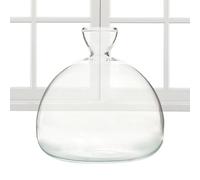 Krujecnt Avocado Vase For Growing, Plant Terrarium Hydroponics Glass Vase, Indoor Propagators For Plants, Transparent Glass Plant Pot With Heat Resistance For Gardening Lovers